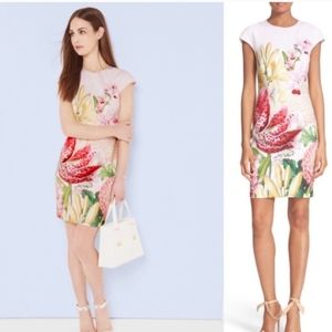 Ted Baker Encyclopedia Bodycon Dress SZ 2